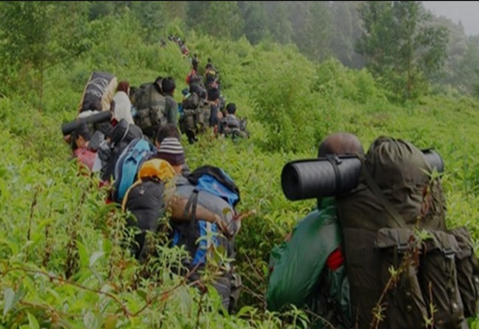 Ingat 4 Hal ini! Saat Kita Tersesat Di Gunung atau Hutan Belantara