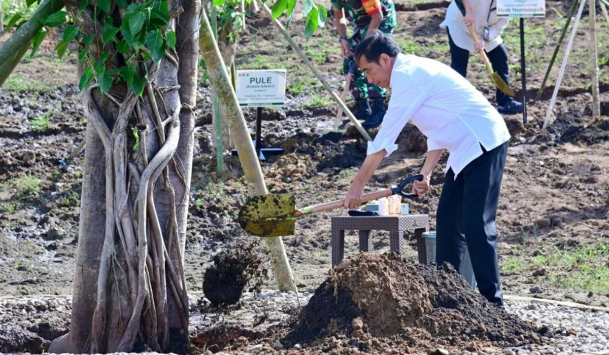 Presiden Jokowi Tanam Pohon di NTT, Bentuk Nyata Indonesia Siap Menghadapi Prubahan Iklim