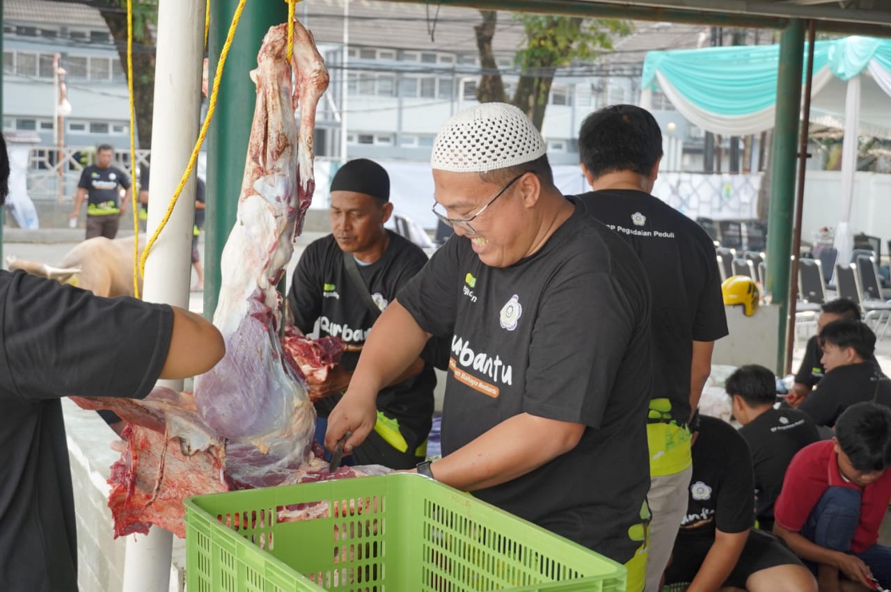 Pegadaian Salurkan Qurbantu Bagi Warga Kota Palembang, Potong 10 Ekor Sapi Berkualitas Baik