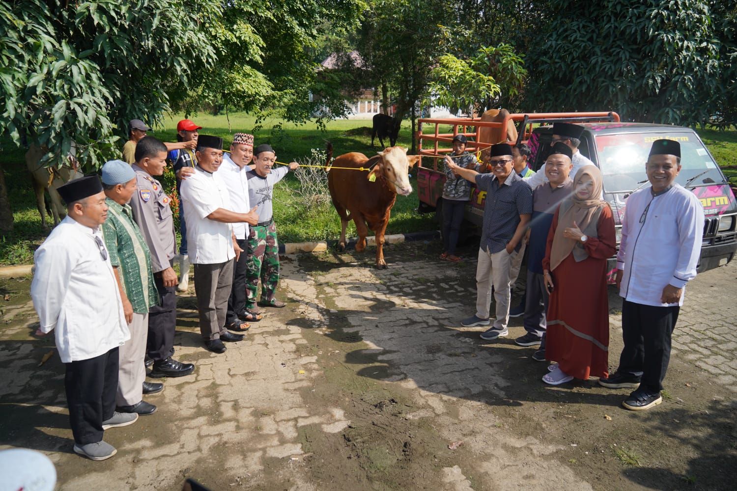 Idul Adha 1444 H, Bukit Asam Salurkan 145 Sapi dan 56 Kambing