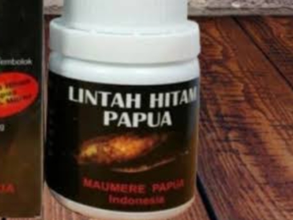 Minyak Lintah Papua Beresiko Sebabkan Gangguan Ginjal dan Hati, Kategori Obat Tradisional Ilegal?