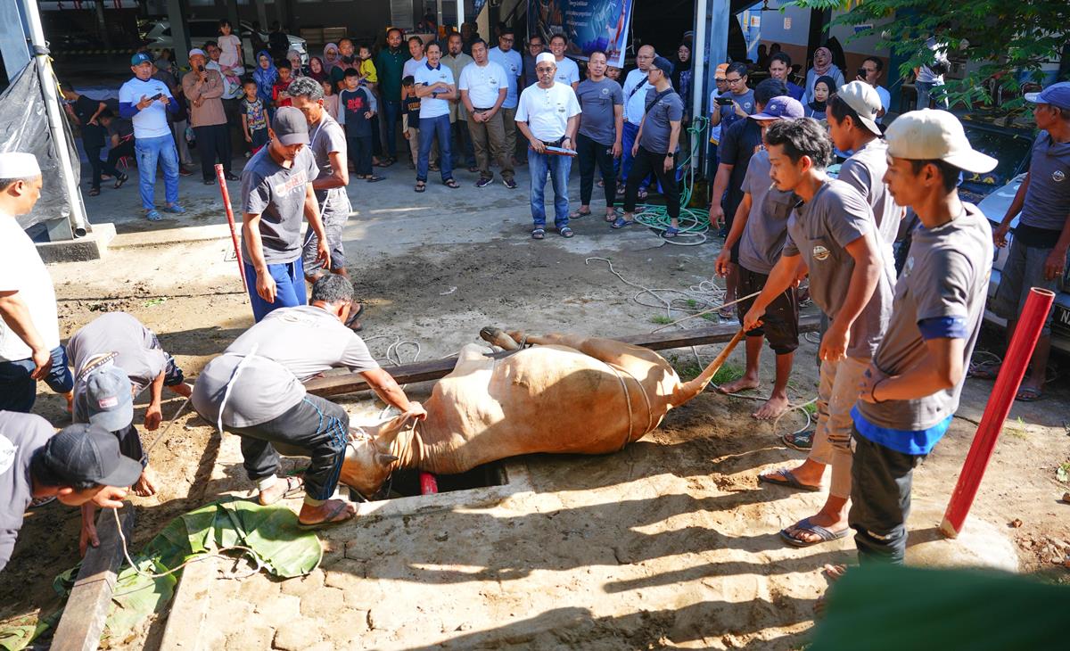 Semangat Idul Adha 1446 H, Kurban Kuatkan Persaudaraan di Lingkungan PLN S2JB