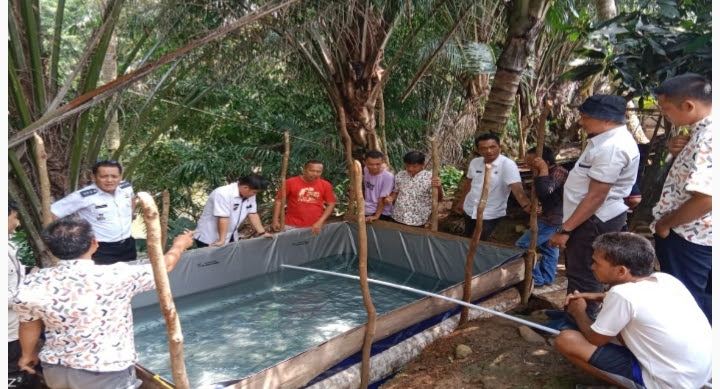 Pemdes Tanjung Ning Empat Lawang Bagikan 45 Ribu Bibit Ikan Patin   