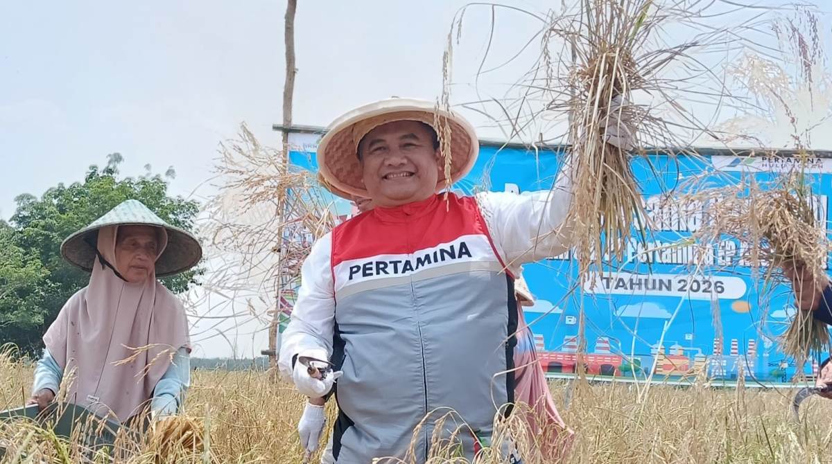 Terbengkalai Sejak 2008, Lahan Pertanian di Pengabuan Kini Produktif 