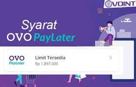 Asyiknya Pakai OVO PayLater, Belanja Sekarang Bayar Nanti, Yuk Download Segera Aplikasinya!