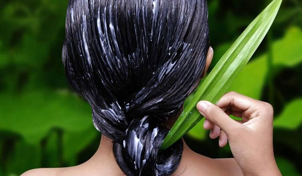 Wow! 8 Rempah Ini Memiliki Manfaat Baik Untuk Kesehatan Rambut, Mudah dan Dapat Langsung Digunakan 