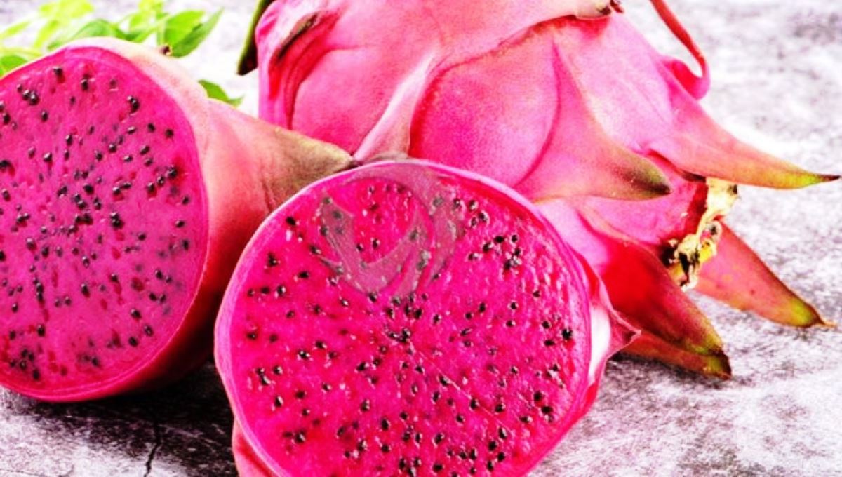 Konsumsi Buah Naga Saat Puasa, Rasakan Manfaat Bagi Kesehatan Tubuh