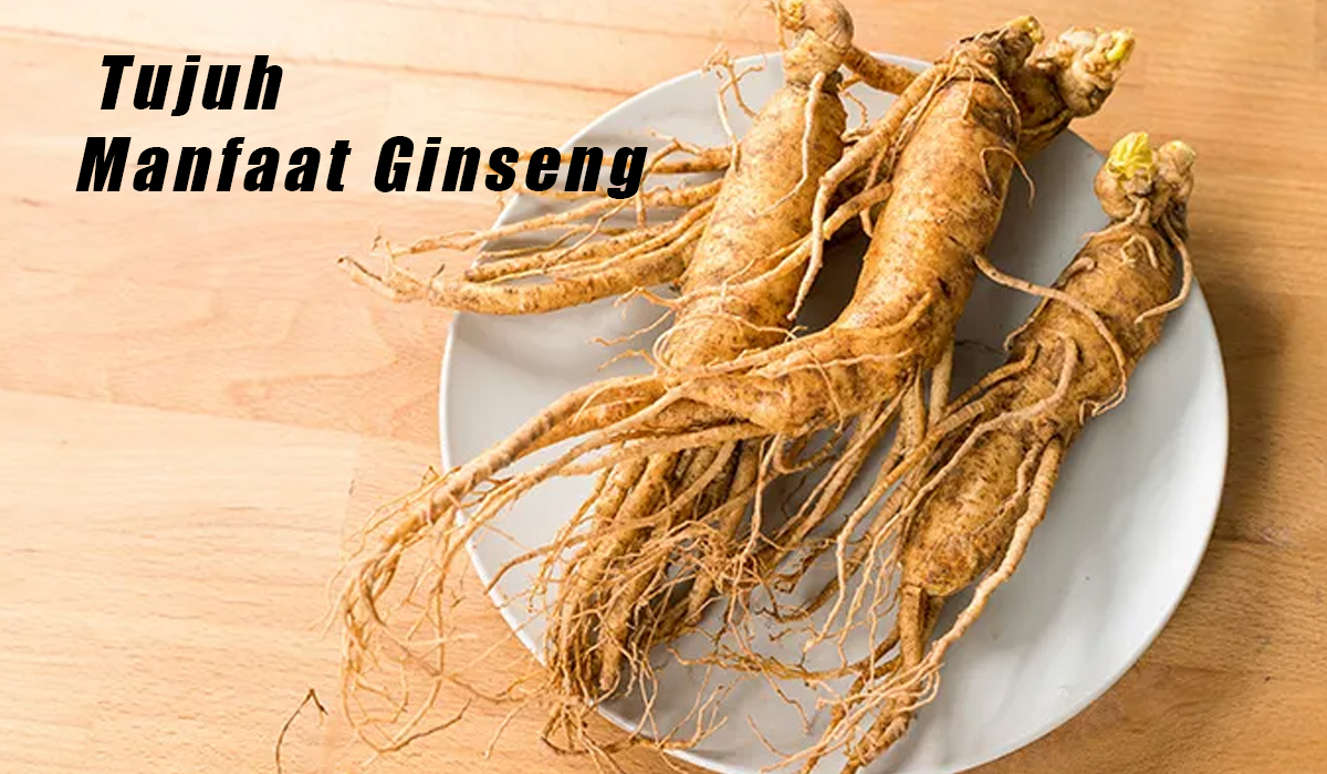 7 Manfaat Ginseng Dalam Pengobatan Tradisional, Tanaman Herbal yang Terkenal di Negara China dan Korea