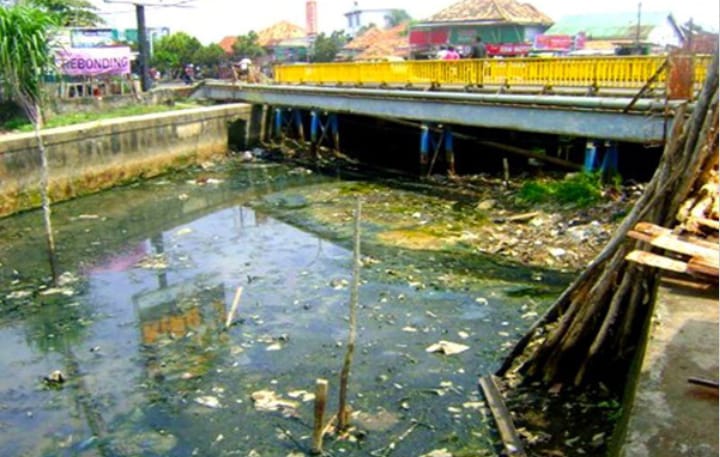 Waspada Bakteri Ini Penyebab  Air Sungai Musi Bakteri E-Coli jadi Polutan Utama Air Sungai Musi Tercemar