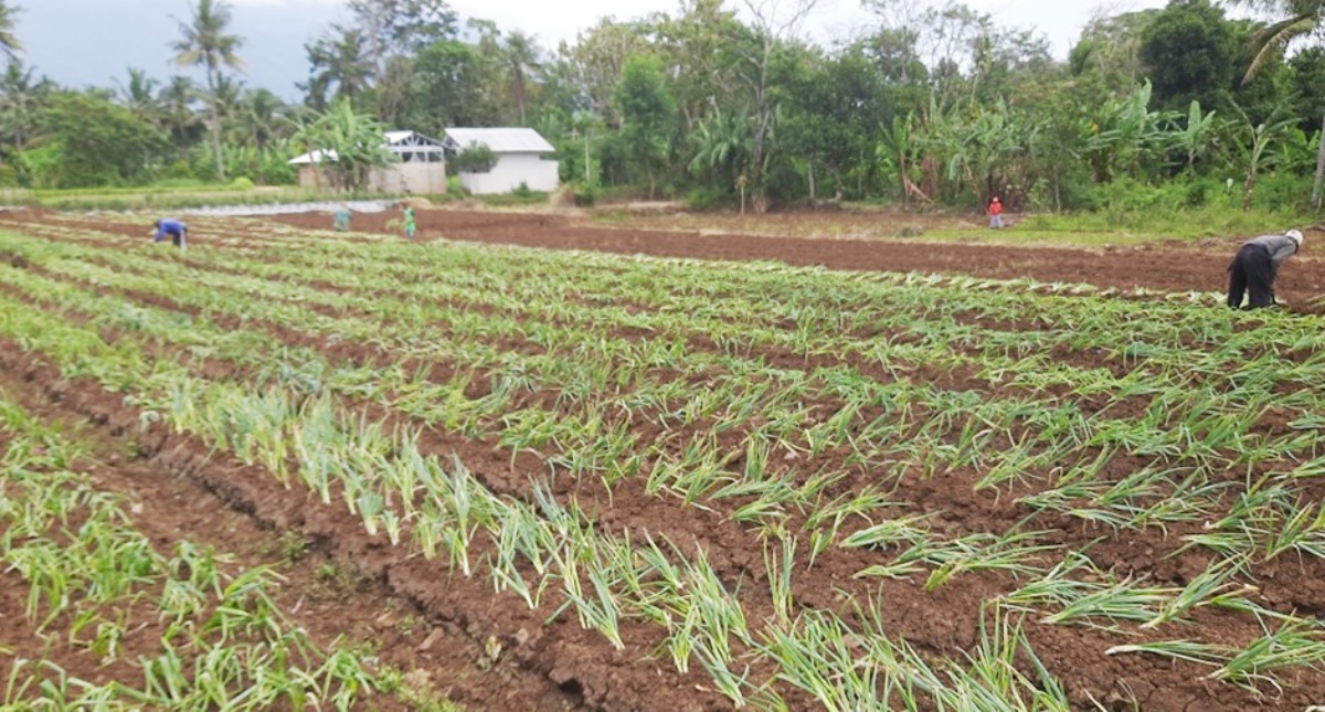 Upaya Desa Cikaso Perkuat Inovasi dan Inklusi Keuangan, Raih Juara 2 Nugraha Karya Desa BRILiaN 2023 dengan BR