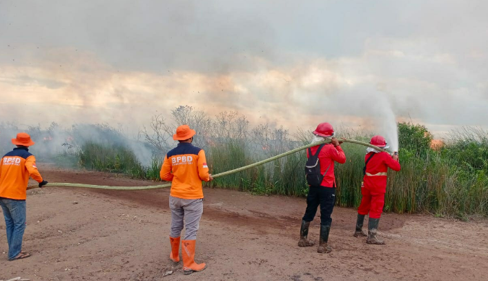 3 Hektar Lahan Gambut di OKI Terbakar, BPPD dan Polisi Bakal Usut Pelakunya  