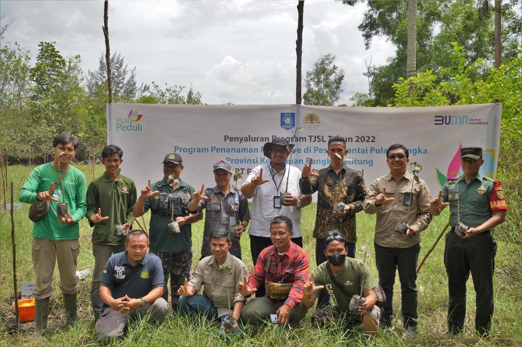 PLN Tanam 22.000 Pohon Mangrove