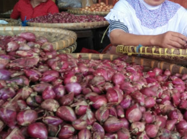 Soal Turunnya Harga Bawang, BI Sumsel: TPID Jaga KAD 4 Daerah di Sumsel dengan Brebes