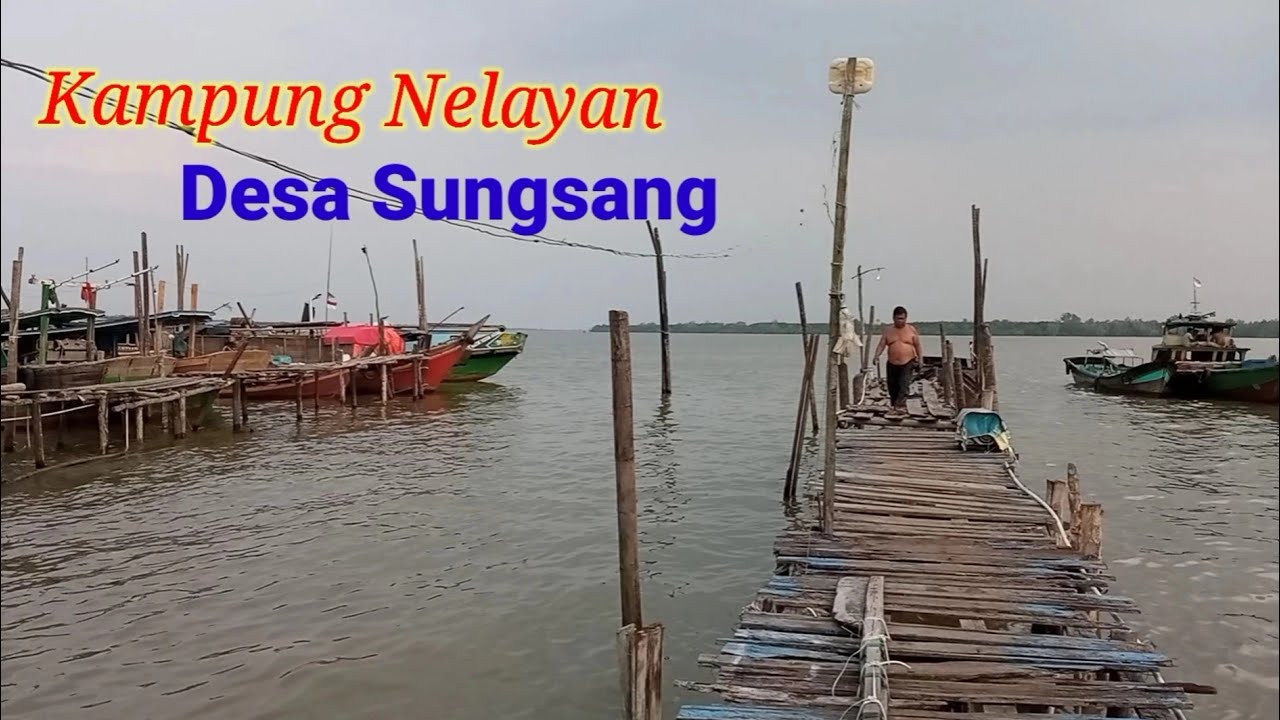 Jelalah Desa Sungsang IV Banyuasin, Kampung Nelayan Penghasil Udang dan Ikan Terbesar di Sumsel