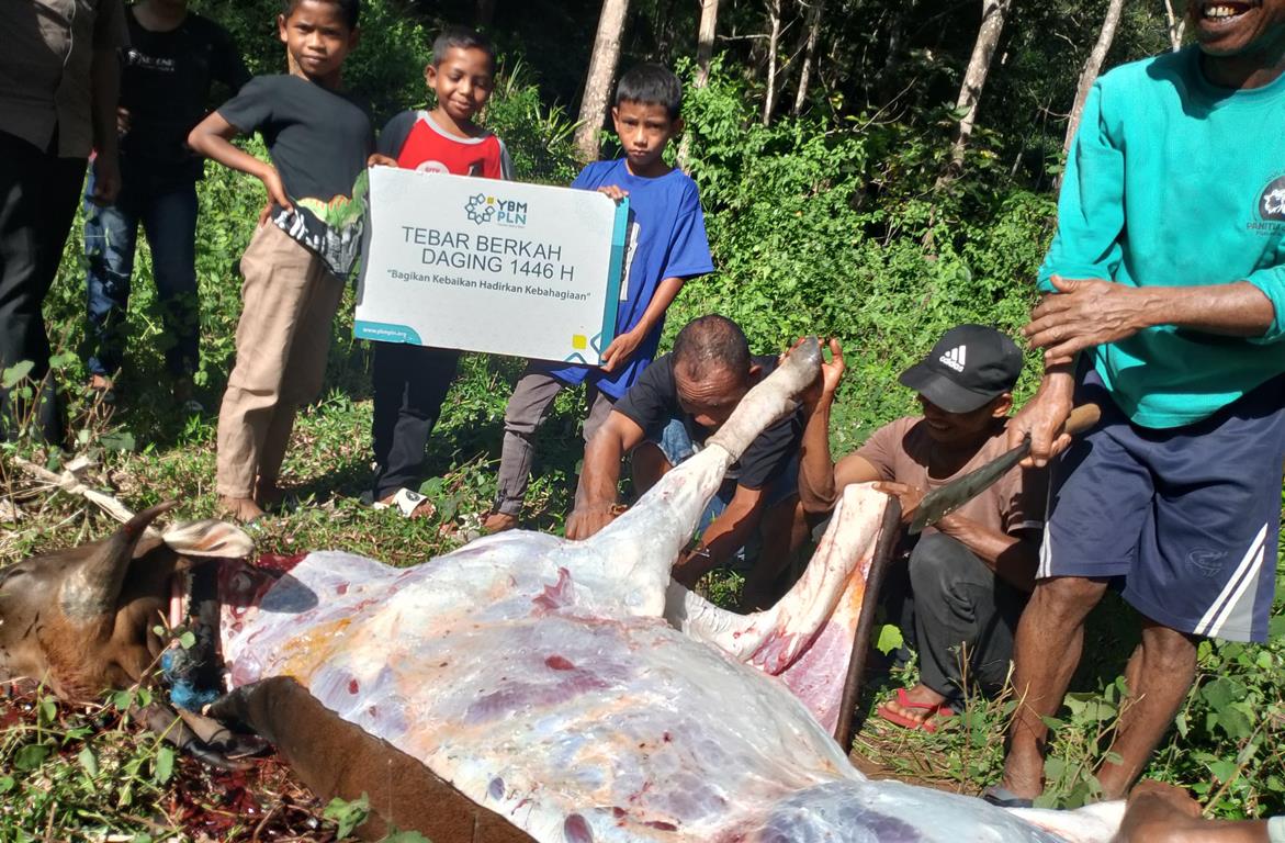 Rayakan Idul Adha 1446 H, PLN Salurkan Daging Kurban di Berbagai Daerah