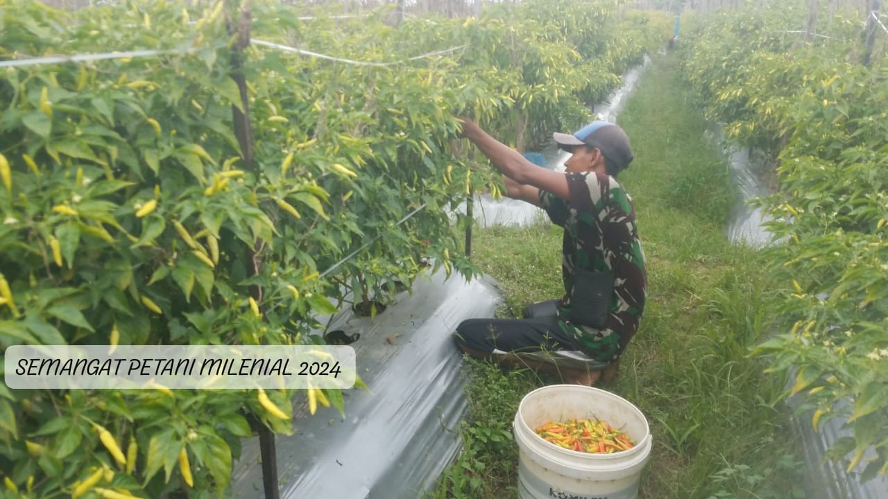 Gaji Rp10 Juta untuk Gen Z Jika Mau Jadi Petani, Ini Syarat dan Cara Daftarnya!