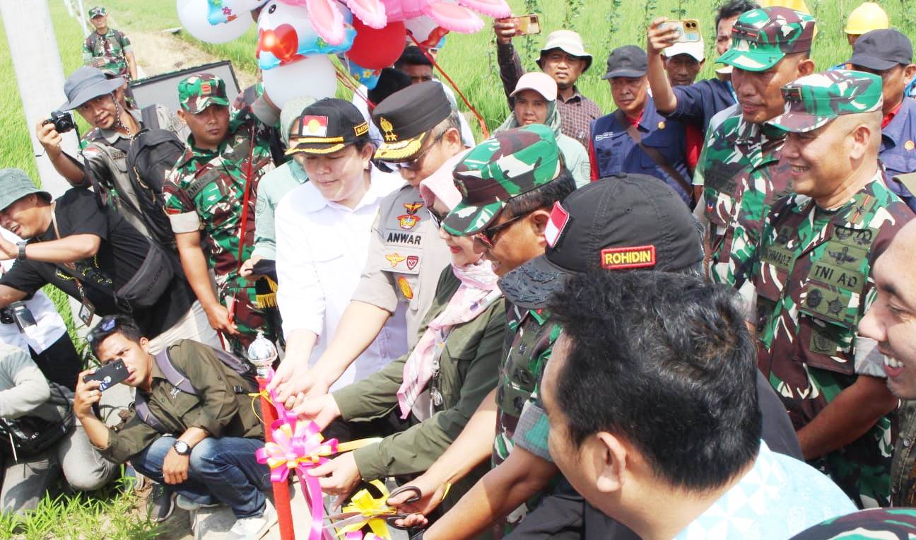 PLN Luncurkan Program Electrifying Agriculture, Perkuat Ketahanan Pangan Nasional