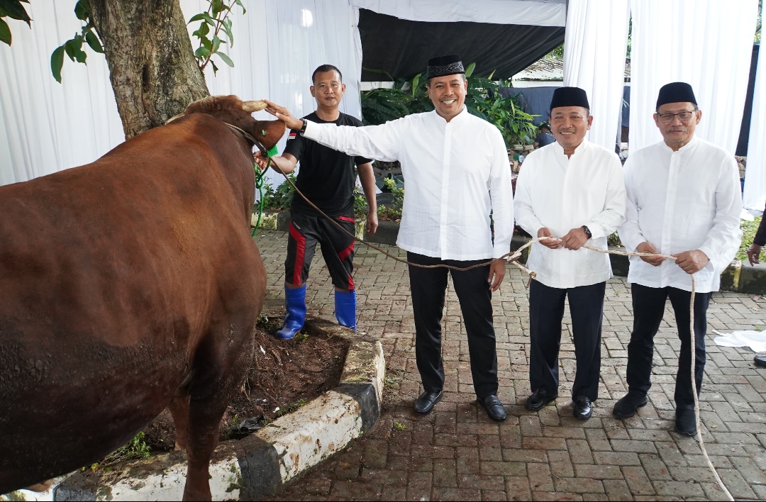Pendistribusian Hewan Kurban BSI Capai 15.272 Ekor di Iduladha 1446 Hijriah
