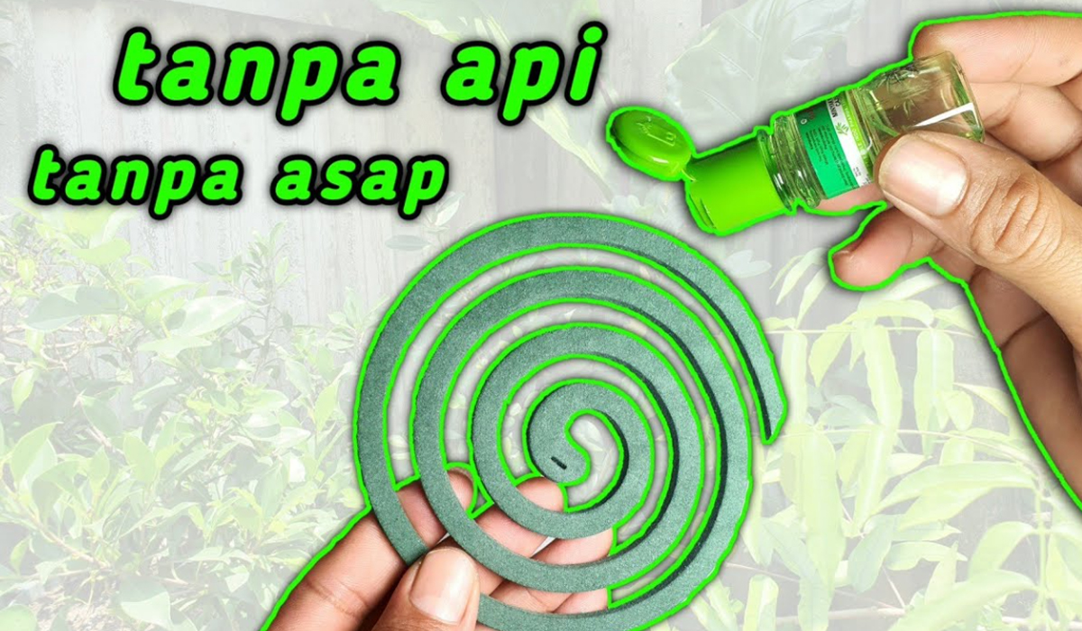 Cara Modfikasi Minyak Kayu Putih Jadi Obat Nyamuk, Tanpa Asap Tanpa Api Dijamin Ampuh