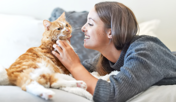 7 Hal Wajib Dalam Merawat Kucing Peliharaan,Nomor 3 Paling Penting Agar Terhindar Dari Penyakit
