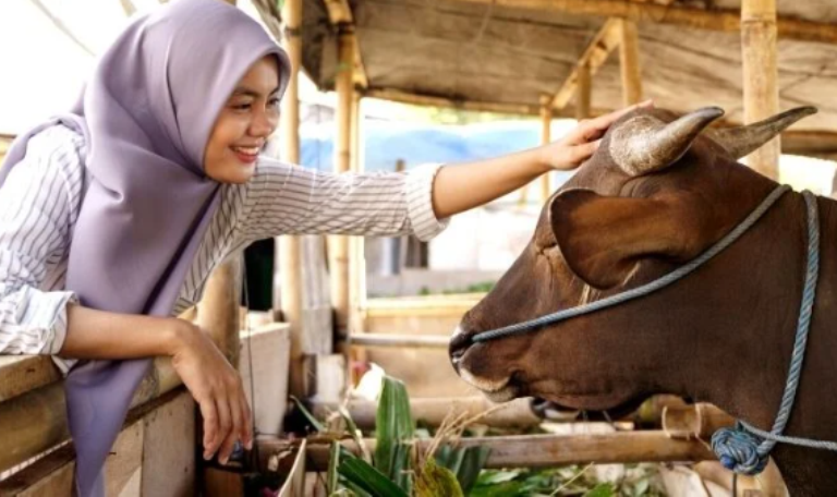 Wajib Tau, Berikut Niat dan Tata Cara Pemotongan Hingga Pembagian Daging Kurban