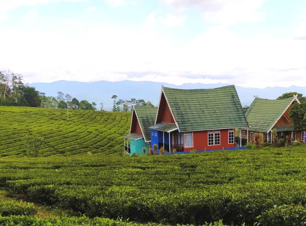 Bule Eropa Bakal Serbu Pagaralam, Ada Apa?