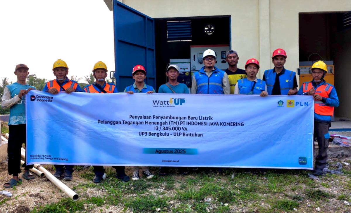 PLN Hadirkan Listrik Andal untuk Tambak Udang di Bengkulu, Kado Spesial Jelang Hari Pelanggan Nasional