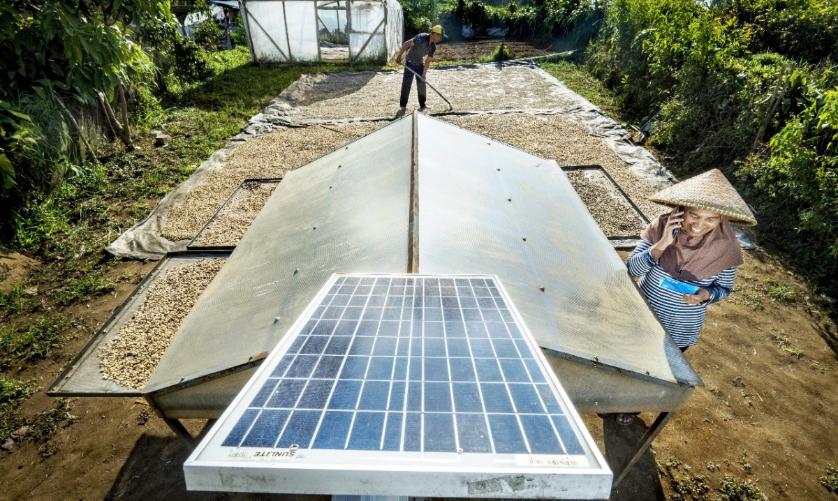 Wujudkan Komitmen sebagai World-Class Sustainable Banking Group, BRI Perkuat Kontribusi terhadap SDGs