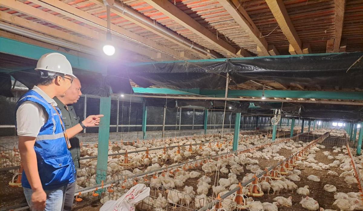 Utamakan Daya Beli Masyarakat, Pemerintah Jaga Tarif Listrik Tetap Terjangkau Sepanjang 2025