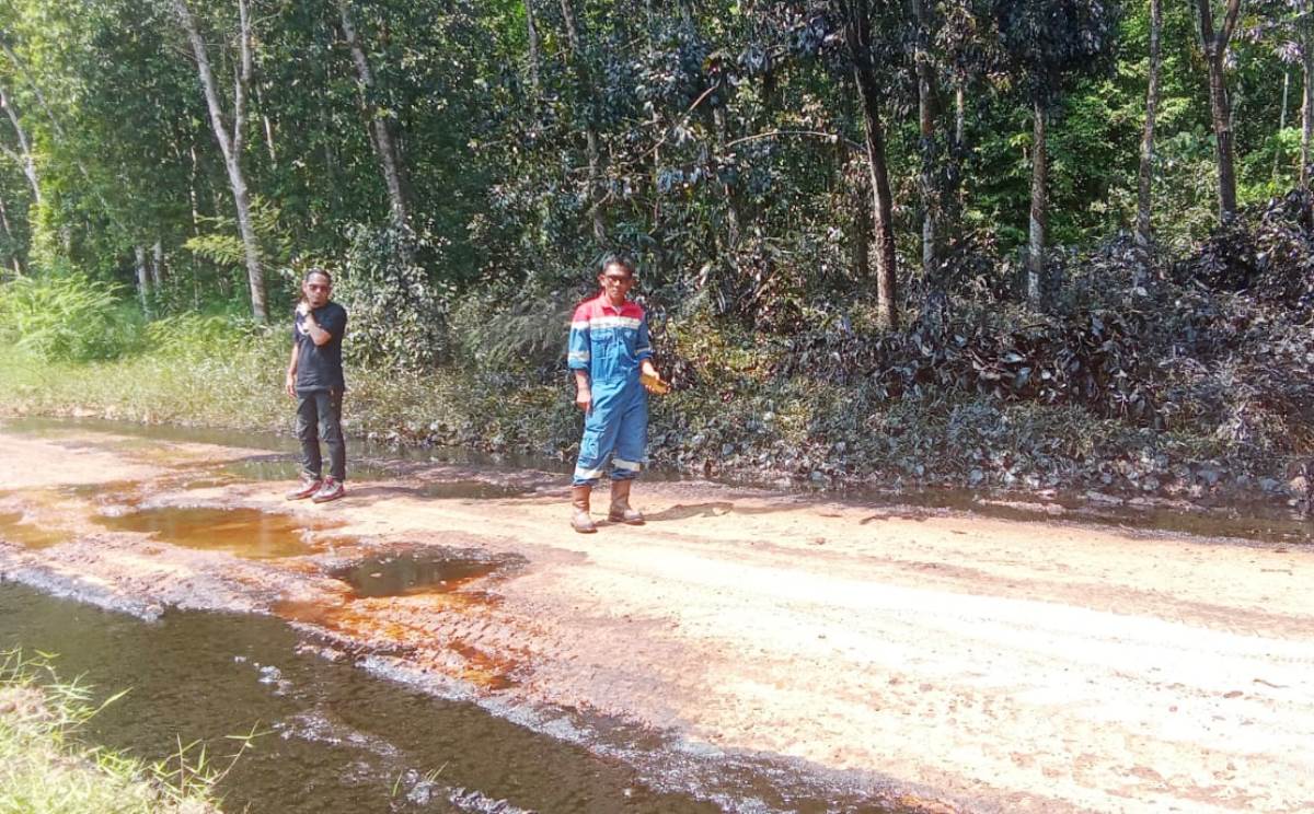 1 Hektare Lahan, 100 Batang Karet di Lubuk Raman Tercemar Minyak Mentah, Biang Keladinya Bikin Sesak Dada