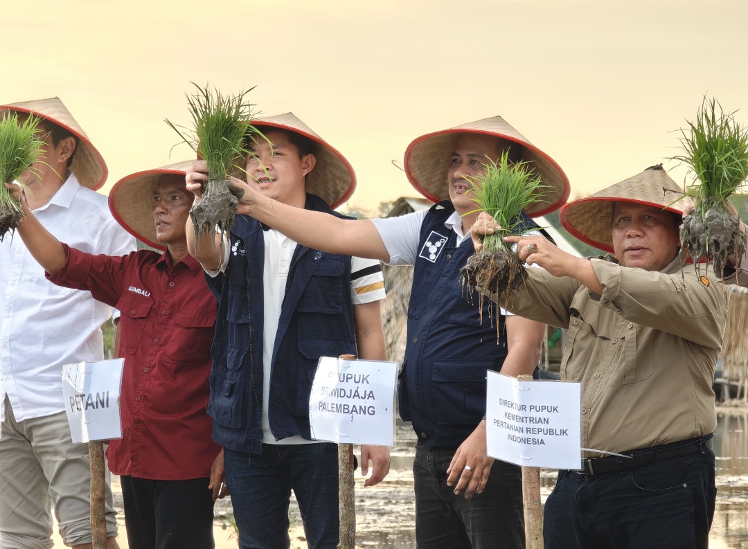 Tanam Perdana Padi Demplot, Pusri Dukung Asta Cita Swasembada Pangan di Bangka Selatan