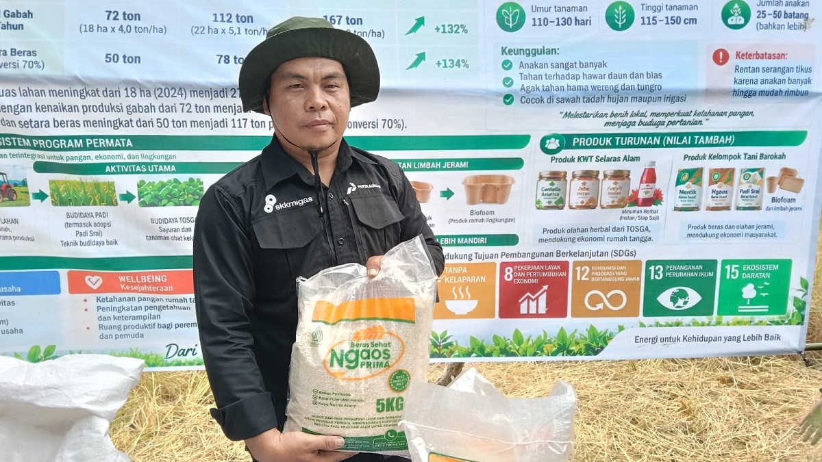 Bukti Nyata Kerja Keras, Petani PALI Ini Puluhan Tahun Tak Pernah Beli Beras 