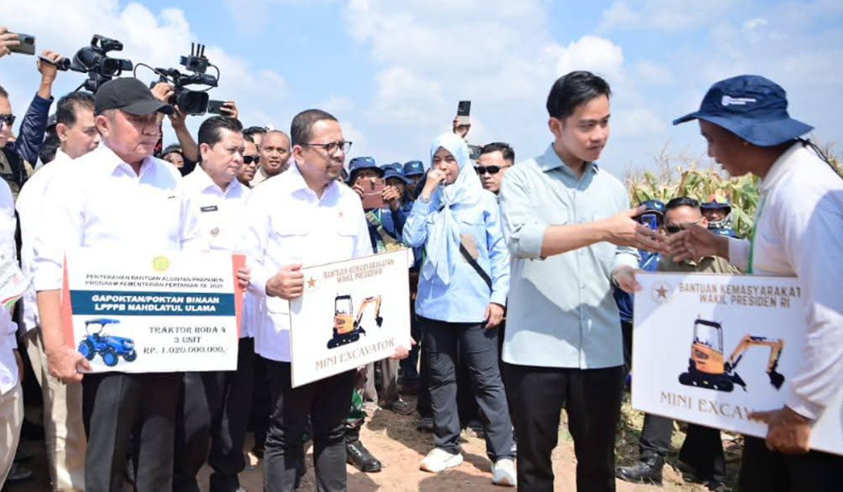 Wapres Gibran Panen Raya Jangung di Banyuasin, Minta Kepala Daerah Dukung Program Presiden