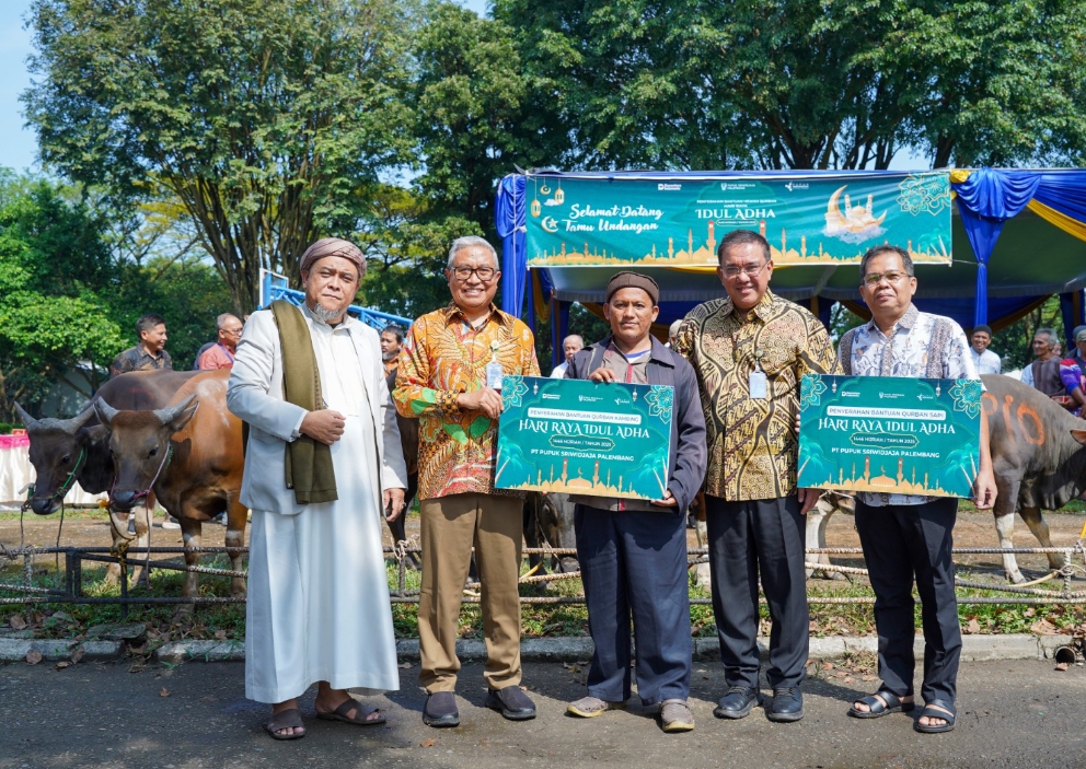 Hari Raya Idul Adha 1446 H, PT Pusri Palembang Salurkan Hewan Kurban, Rinciannya 38 Sapi dan 22 Kambing