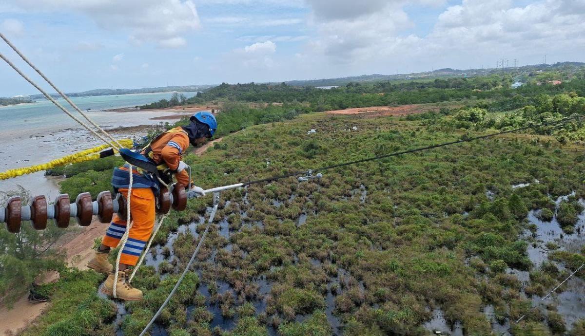 Wujud Kontribusi ke Negara, PLN Setor Rp65,59 Triliun Lewat Dividen, Pajak, dan PNBP