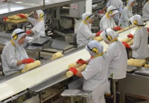 Domestic Highlights Hari Ini, Kinerja Kuartal II 2025, Industri Pengolahan Ekspansif, Dunia Usaha Meningkat