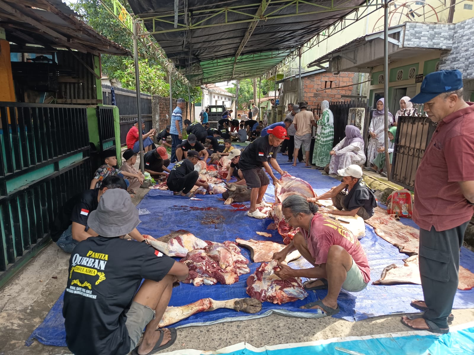 Masjid Jamik Karya Bakti Kelurahan Pahlawan Potong Hewan Qurban 4 Sapi dan 2 Kambing