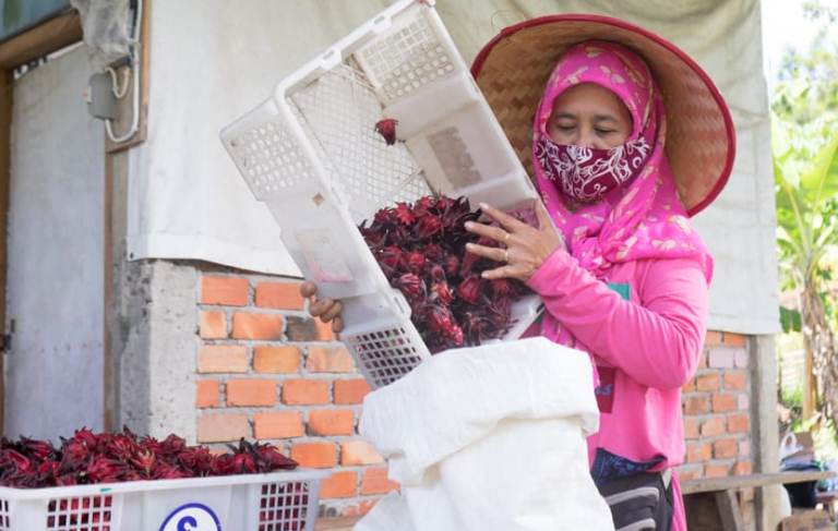 Usaha Rosella, PTBA Berdayakan 30 Perempuan