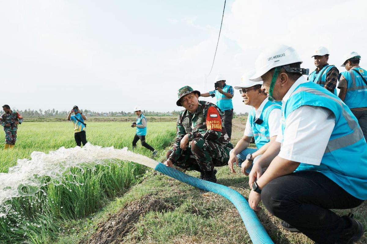 Dukung Pengembangan Pertanian di Merauke, PLN Listriki Area Sawah Garapan Kementan-TNI