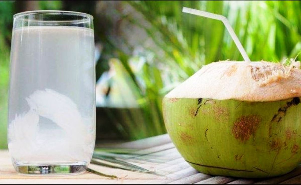 6 Manfaat Air Kelapa Saat Berbuka Puasa, Salah Satunya Aman untuk Lambung 