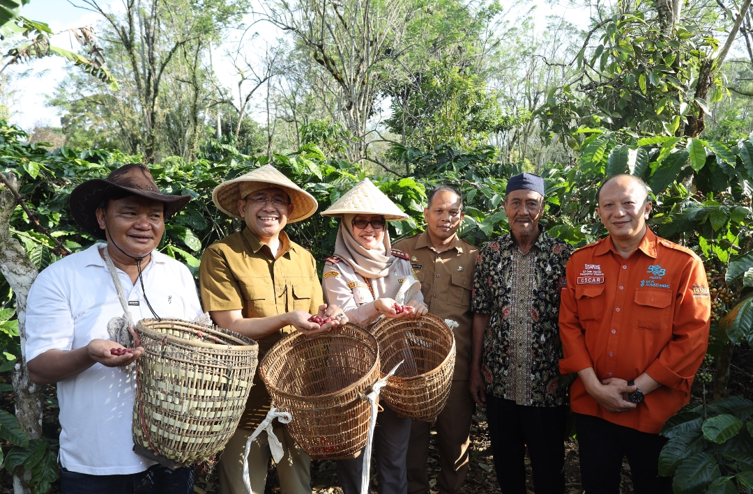 OJK Jelajah Kopi Sumsel, Ekplorasi Potensi Ekosistem Hulu Hilir di Lahat hingga Dukung Ekspor Berkelanjutan 