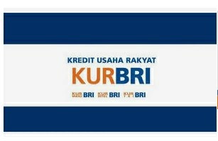 Lagi Ajukan KUR di BRI, Berikut Panduan Agar Pinjaman Bisa Cair   