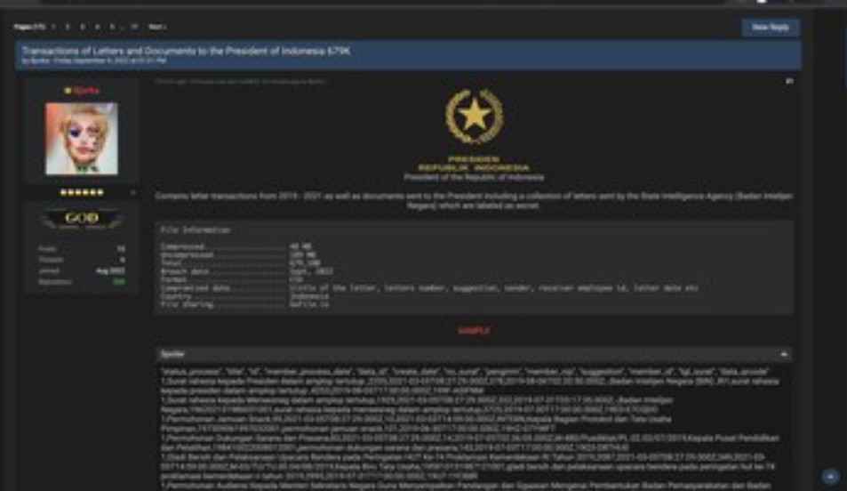 Bobol Istana, Hacker Bjorka Ngaku Dapatkan Dokumen BIN dan Ancam Bocorkan Rahasia Jokowi