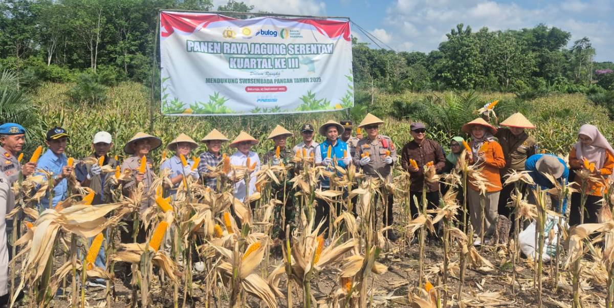PLN Sukses Amankan Pasokan Listrik pada Panen Raya Jagung Serentak Bersama Kapolri di Sumatera Selatan