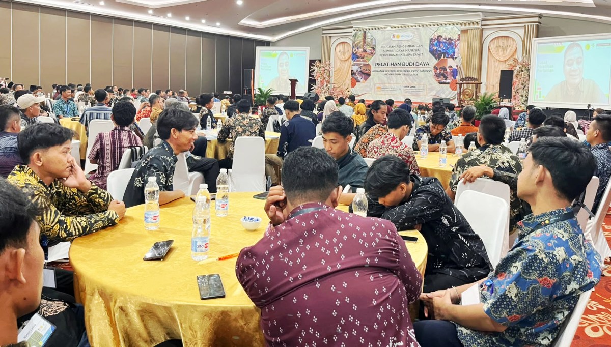 Dari Bibit hingga Panen, Petani Sawit OKU Didorong Naik Kelas