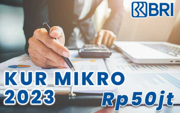 Punya Plafon Rp 50 Juta, KUR BRI Mikro Jadi Pilihan Utama UMKM Soal Pinjaman Modal