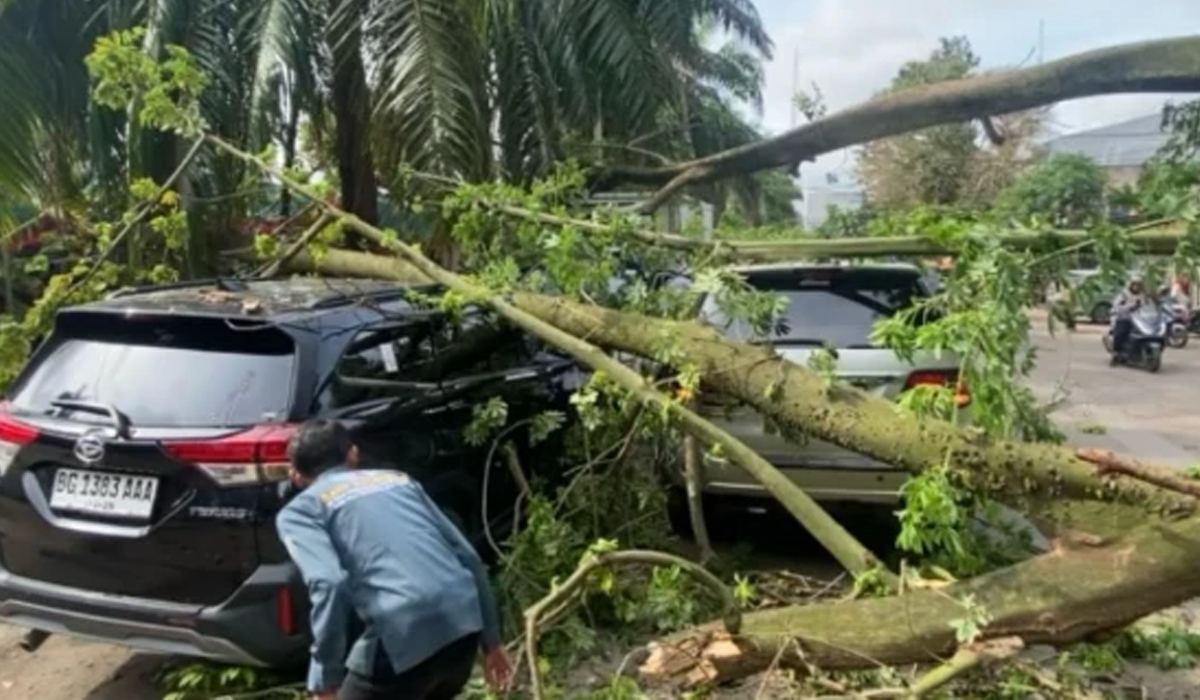 3 Mobil Hancur Tertimpa Pohon Tumbang di Kantor Camat Ilir Timur I Palembang