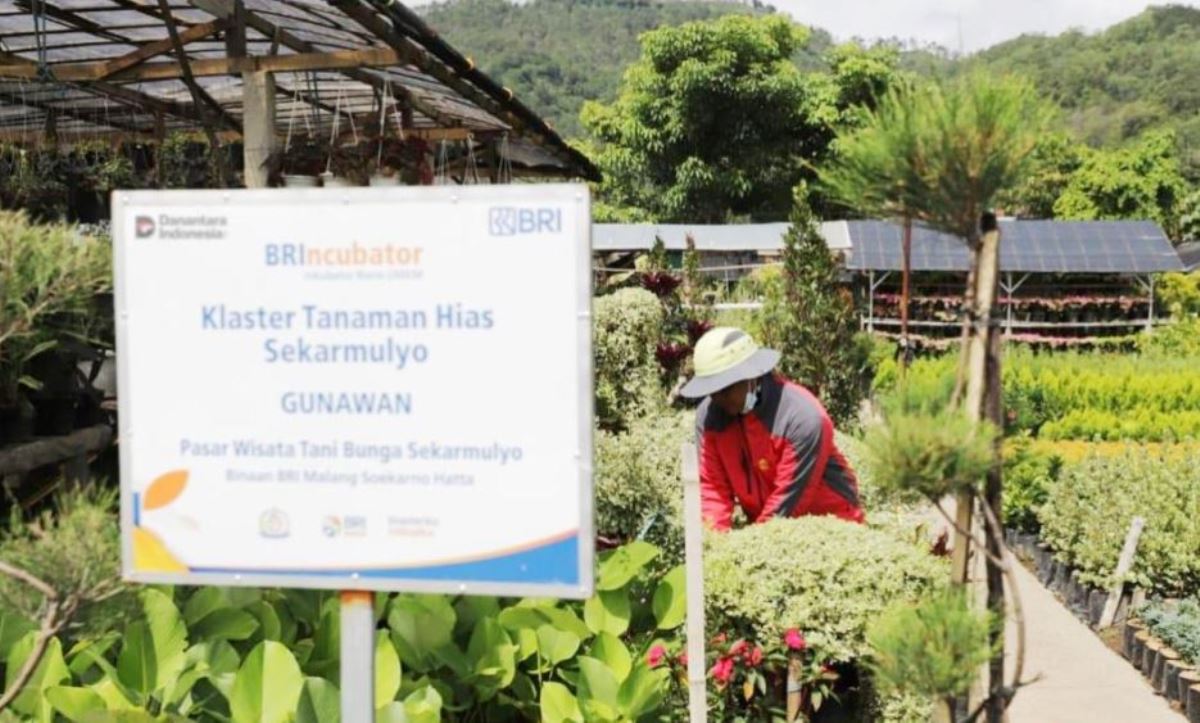 Perkuat Ekonomi Kerakyatan, BRI Berdayakan 41 Ribu Klaster Usaha melalui Pembiayaan dan Literasi Keuangan