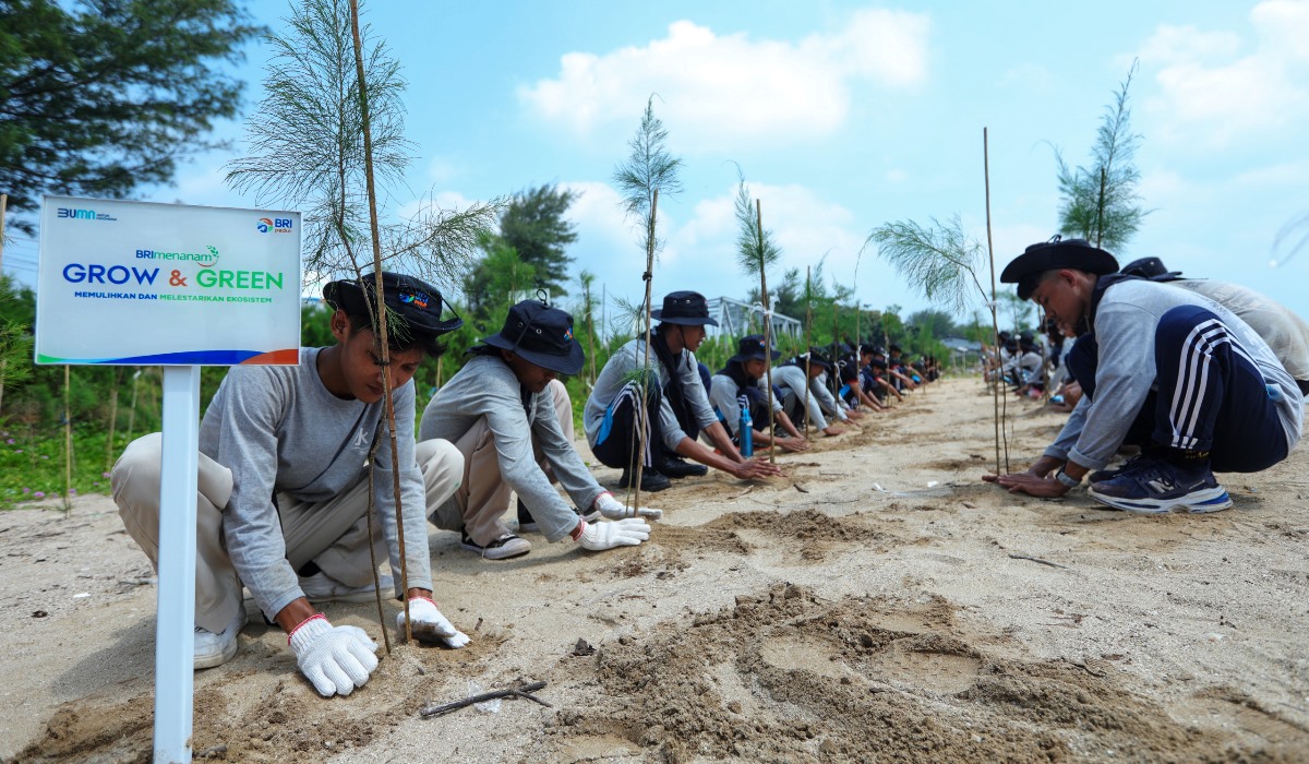 BRI Pertegas Komitmen dalam Menjaga Ekosistem Lingkungan melalui BRI Menanam – Grow & Green
