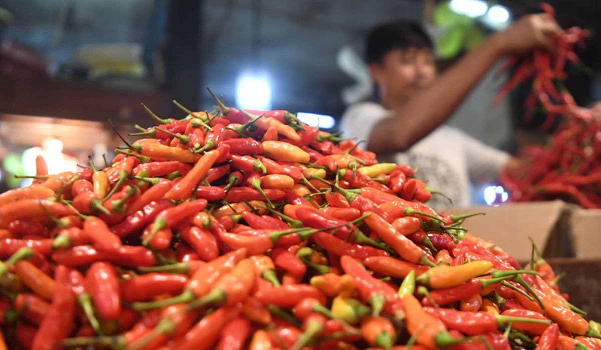 Pedas! Harga Cabai di Palembang Tembus Rp 70 Ribu Per Kilo, Terus Naik Dalam Seminggu Terakhir